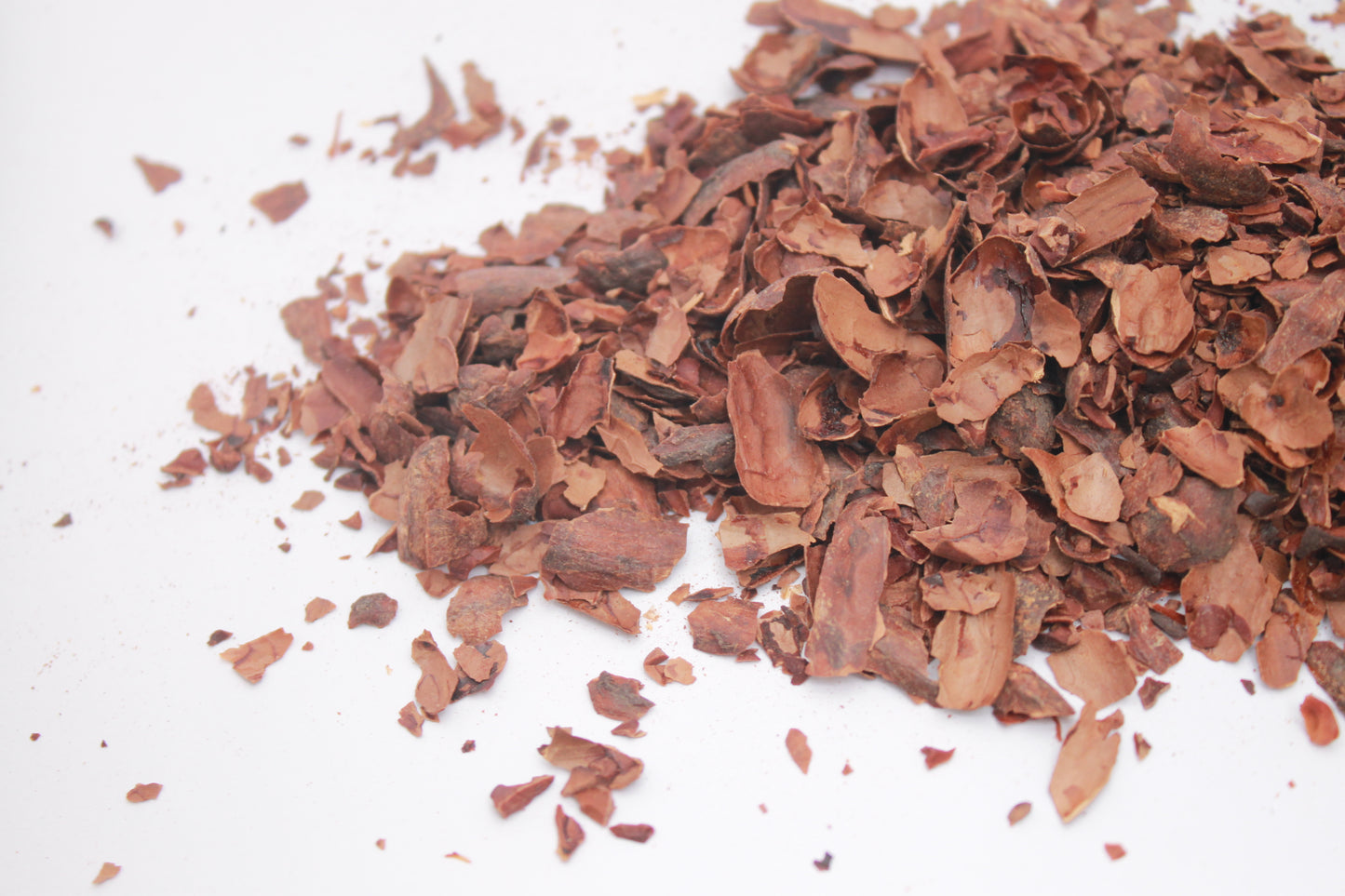 Cascas de cacau para chá 100g